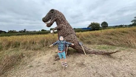 Ice cream farm loved by families opens exciting new attractions