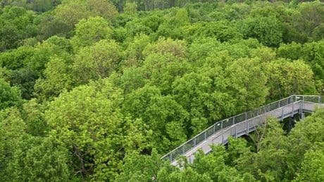 Welterbetitel: Zum Welterbetag durch Buchenwälder und historische Mauern