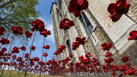 30.000 Keramikblumen erinnern in London an den 80. Jahrestag des Zweiten Weltkriegs