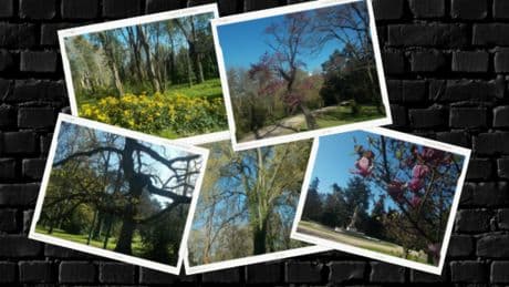 Ruta por el Jardín del Campo del Moro
