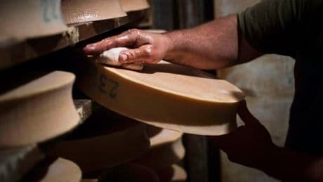"On fera tout pour perdurer": les fromages AOP menacés par le changement climatique