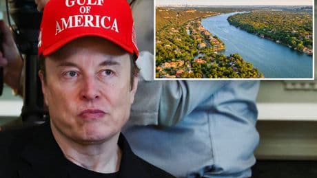 Elon Musk’s security guards at ‘Fort Knox’ Texas compound called cops on neighbor they thought was naked: report