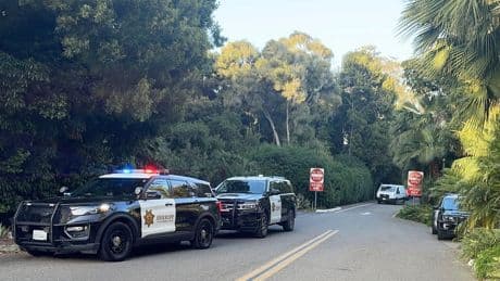 Woman in coma after violent break-in at California home of Beanie Babies billionaire, officials say