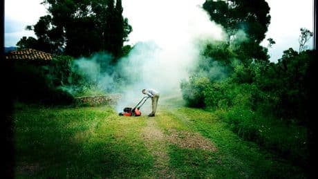 Tondeuse, herbicide, déchets verts : on ne badine pas avec le jardinage