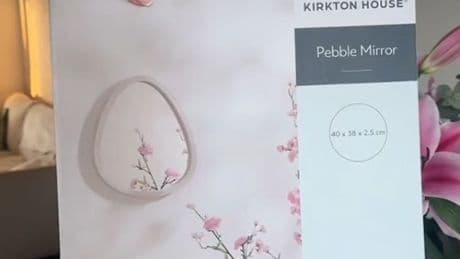 Shoppers rush to major supermarket get their hands on a 99p mirror