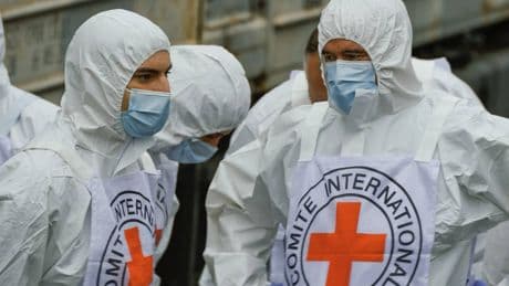 Mass mortuaries, forensics and rare co-operation with Russia: The agonising task of identifying Ukraine’s war dead