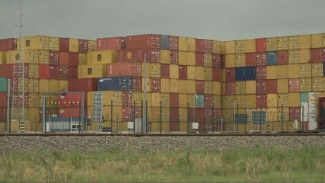 Veel Nederlandse uithalers in Antwerpen: 'Ze onderschatten het risico'