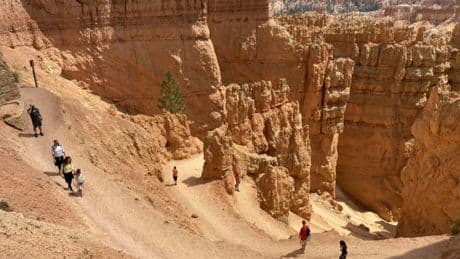 Katze überlebt tödlichen Sturz ihrer Besitzer in beliebtem US-Nationalpark