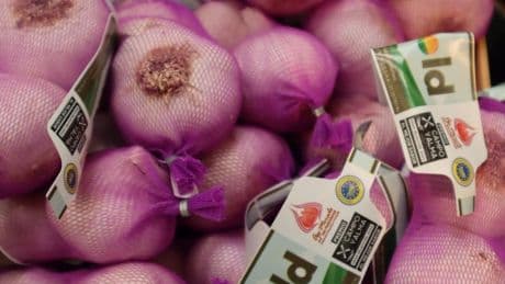 Este pequeño pueblo de Cuenca es el mayor productor de ajo en toda Europa