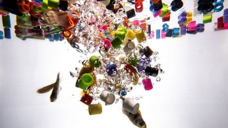 Common bacteria could turn plastic waste into painkillers, study finds