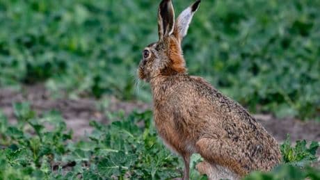 Wetterprognose: Temperaturen über 20 Grad zum Start in die Osterferien