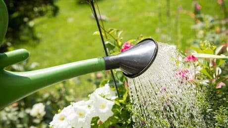 Bußgeld bis zu 50.000 Euro droht - Trockenheit! Kein Wasser aus Bächen und Flüssen