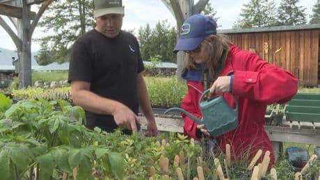 Sunshine Farm in East Kelowna prepares for annual seed and plant sale