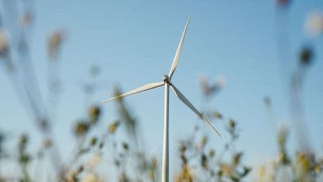 En Toscane, des hommes cagoulés et armés de couteaux perturbent un projet éolien