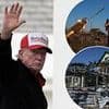 Trump says Russia and Ukraine will 'hopefully make a deal this week' and 'start doing business with the USA and make a fortune' - as Putin immediately renews attacks following Easter ceasefire