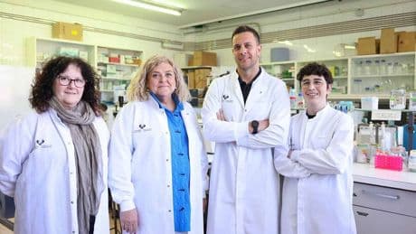 Los vascos que han descubierto que la metástasis hepática casi desaparece al eliminar este tipo de célula