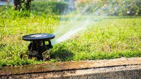 Wasser marsch!: So bewässert man Garten und Gemüsebeete smart und präzise