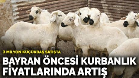 Kurban Bayramı öncesi kurbanlık fiyatlarında artış: 3 milyon küçükbaş satışta