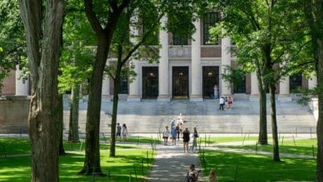 Harvard: Eliteuni verklagt Donald Trump wegen Verbot für ausländische Studenten