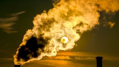 MSPs urged to 'seize historic opportunity' and back Ecocide Bill to jail polluters