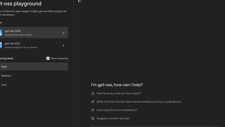 OpenAi lancia due modelli open-weight e invade il campo di DeepSeek e Llama