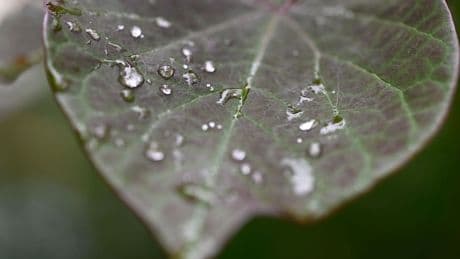Wetter: Zunehmend wechselhaftes Wetter in der neuen Woche
