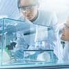 Huge breast cancer breakthrough as scientists discover key way to prevent deadly disease