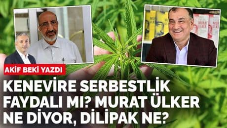 Akif Beki yazdı: Siyaseti kenevir sakinleştirir mi?