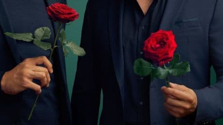 "Die Bachelors" 2025: Die neuen Rosenkavaliere sind schon Väter