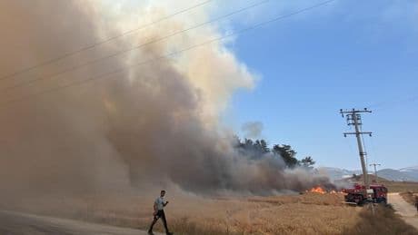 Bolu'da tarım arazisinde çıkan yangın ormana sıçradı