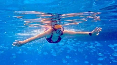 I spent my 50th birthday swimming around Greek islands with friends. Even though we were the slowest, it built my confidence.
