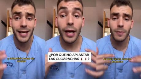 La razón por la que no se debe aplastar una cucaracha