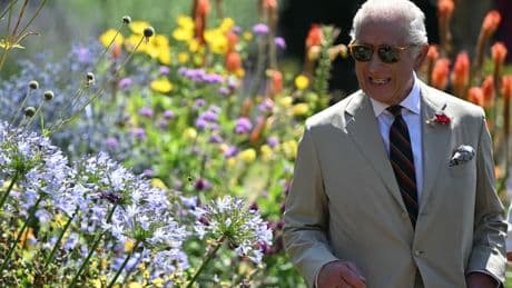 Folles exigences, salaires minimums... Pourquoi les jardiniers du roi Charles démissionnent les uns après les autres