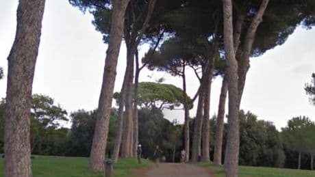 Il corpicino tra i rovi: orrore su una bimba di 5 mesi a Roma