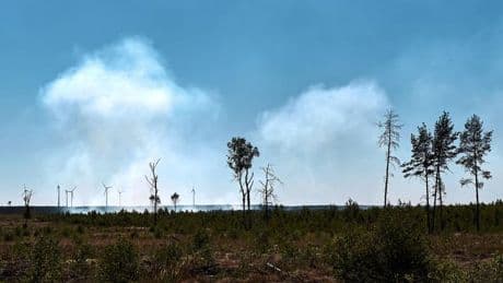 Trockenheit: Waldbrände unter Kontrolle - Evakuierung von Ortsteil vorbei