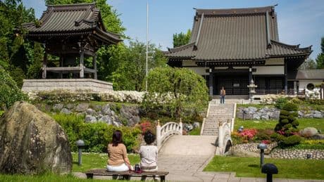 Japan-Tag in Düsseldorf: In NRW leben gut 12.000 Japaner