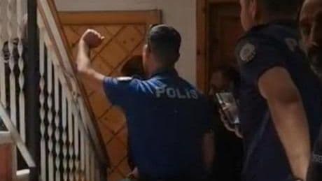 Evinde 12 sokak köpeğiyle kadın gözaltına alındı