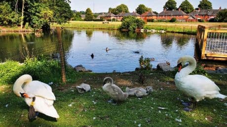 Baby boy found injured in water at park as cops launch urgent probe with teen, 17, arrested on suspicion of neglect