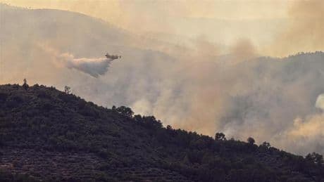 Waldbrände : Einsatzkräfte kämpfen weiter gegen Waldbrände in Portugal und Spanien