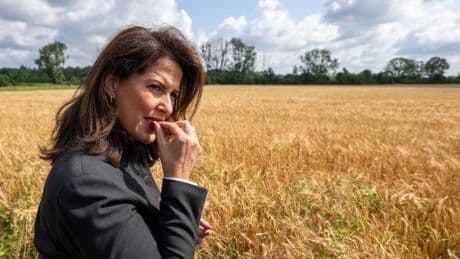 Kritik an EU-Haushaltsplänen: Kaniber befürchtet EU-Kürzungen für die Landwirtschaft