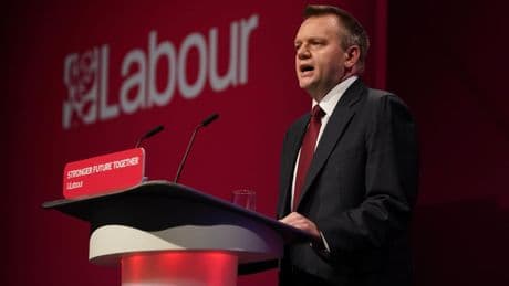 No plans to reintroduce freedom of movement or customs union, MPs told