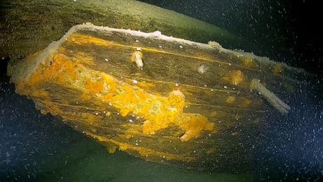 Sensation im Bodensee: Archäologen entdecken 31 Wracks