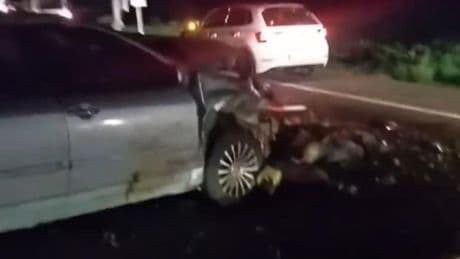 Yaylaya giden hayvan sürüsüne otomobil çarptı: 25 koyun öldü
