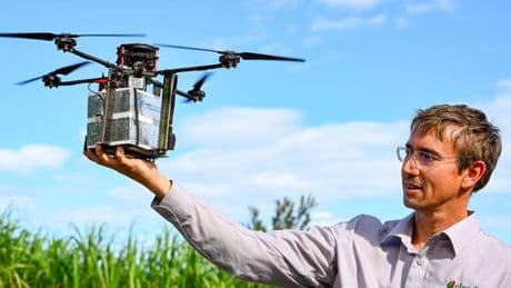 Jérémy Bouyer veut « booster » la technique du moustique stérile pour endiguer le chikungunya à La Réunion