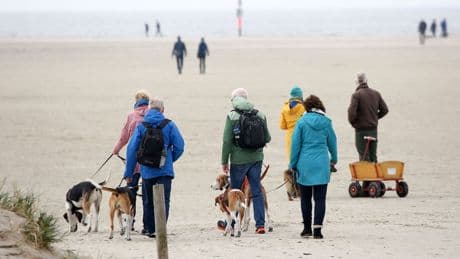 St. Peter-Ording Tourismusflaute: Leser kritisieren hohe Preise und Gebühren