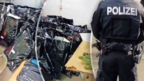 Nederlander (58) in de boeien geslagen na vondst ruim 300 kilo drugs, vreemdeling mailt politie of hij deel mag hebben