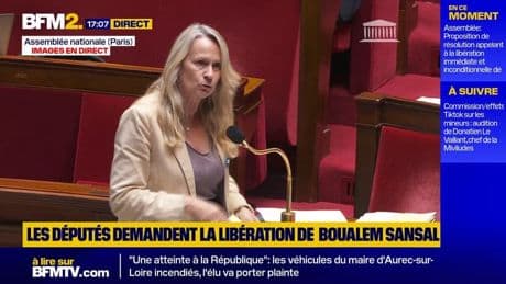 Constance Le Grip recadre le RN sur les valeurs républicaines et européennes