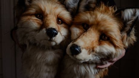 How Lisa Laurén’s Artsy Childhood Inspires Her Sought-After Animal Heads