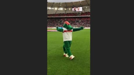 VfB-Fans beteiligt - Wie Fritzle aus dem Ei schlüpfte