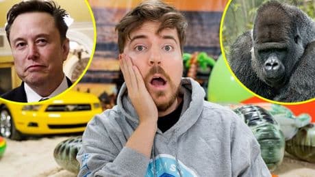 Gaga-Idee von MrBeast - Kämpft Elon Musk mit 99 Männern gegen einen Gorilla?